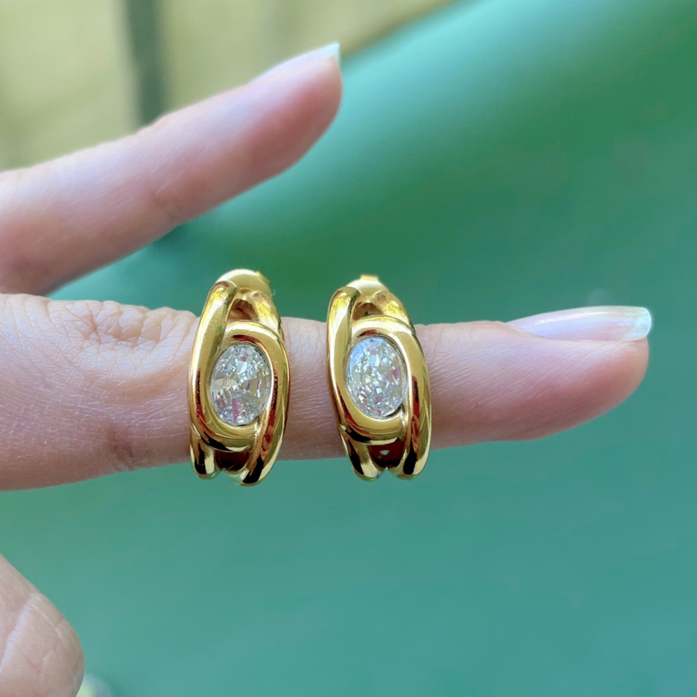 Stainless Steel Zircon Earrings